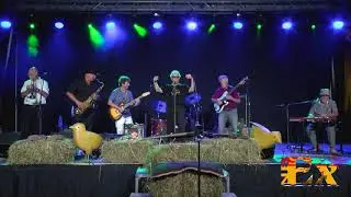 DOWNTOWN BLUES BAND at the NBEX by Trevor Jones