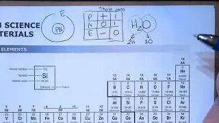 Brain Dump - 8th Grade Science STAAR