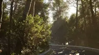 Realistic Forest Environment | 3D Environment Art