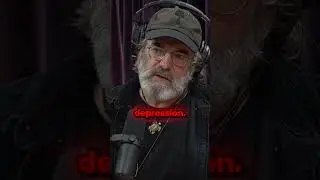 Microdosing Miracles: Paul Stamets on Creativity & Happiness 🍄 #paulstamets #joerogan #wellness