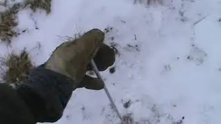 Fencing System for Rotational Grazing in Winter with Fiberglass Rods
