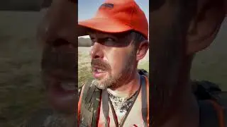 Quick Tips: Public Hog Hunt & Field Stalk Strategies Part 1 | RealHunters
