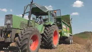 Fendt Favorit 611S Turbomatik mit Bergmann TSW 4190 S Miststreuer / Miststreuen / Düngung 2019