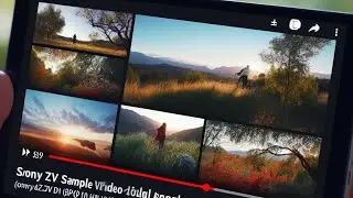 Sony ZV1 Sample Video Footage, Handheld [PP10 HLG BT.2020]