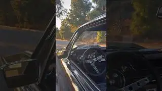 Can't gentle this pony#mustangsociety#blackmusclecars#worldwidestangs#stangsofig#worldwidemus #short