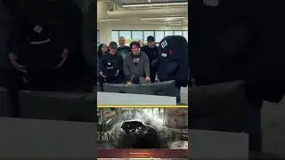 Ласка лошадей приносит [ГМ] Лемории чувство покоя.