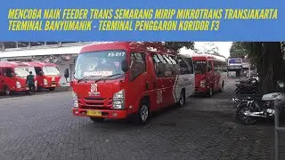 Angkutan Feeder Trans Semarang Koridor F3 FULL TRIP Mirip Angkot No Ngetem Banyumanik - Penggaron