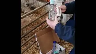 Udderly EZ
