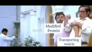 Pathetic story of a Protein Modification..