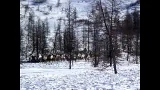Yamal Nenet Travel 2014