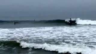 Surferspointventura 1-23-16