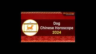 Dog 2024 Predictions  || Lucky Zodiac Animal Sign #ofw #astrology #prediction2024