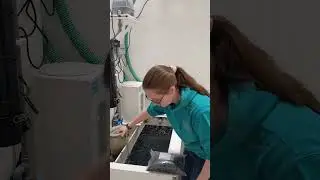How to change the filter socks on a Lobster Pod