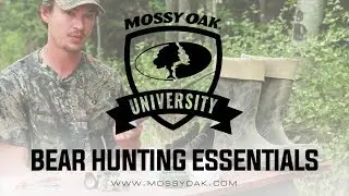 Bear Hunting Essentials
