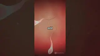 Sperm Defies Physics: A Revolutionary Discovery!