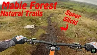 Riding Mabie Forest natural trails with my trail dog