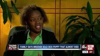 Breeder allegedly sold Tampa family a sick puppy that nearly died days later