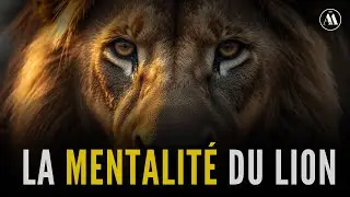 Pense comme un LION, agis comme un ROI 👑 | Le mindset qui s&eacute;pare les faibles des puissants