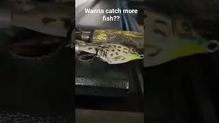 check this out!! #fishing #fish #youtube #youtubeshorts #youtuber #lunker #bass