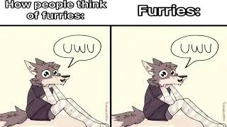 furry meme compilation