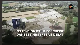 Dans le Finist&egrave;re, l'extension d'une porcherie fait d&eacute;bat
