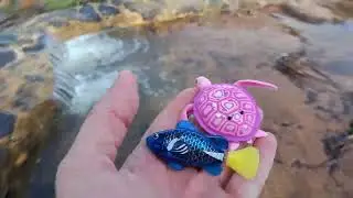 Honey Road Pool! RC Kayak FAIL! ROBO Turtle and Fish WIN!