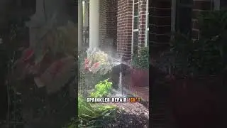 Sprinkler Company Aubrey, Tx and surrounding areas #whaledonesprinklers