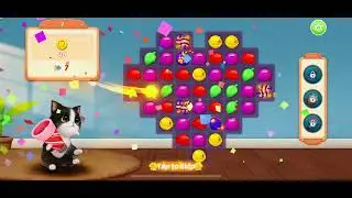 Kitten Match Level 7 Gameplay | No Booster @NaNaMatch3