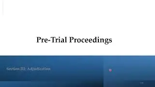 The Judicial Process - Pre-Trial Proceedings - Part I