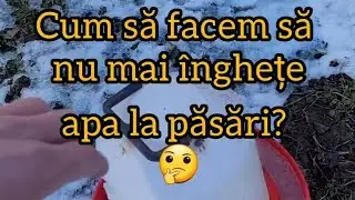 🥶 Cum să facem să NU mai ÎNGHEȚE APA la PĂSĂRI 🤔 - vezi 5 metode simple 🤠👍