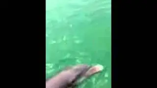 Gypsy fishing in Venice fl Tony Rockford