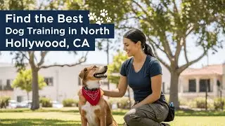 Find the Best Dog Training in North Hollywood California