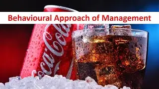 Quantitative Approach & Behavioral Approach