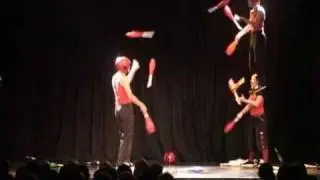 The Stunties