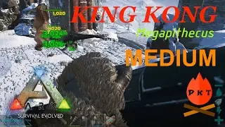 ARK | ลุยบอส Tek Tier #5 | คิงคอง Megapithecus [Medium]  | 3 คน