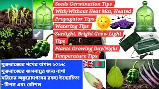 UK Hobby Gardening 2026: Naga Pepper Germination SECRETS Unlocked for UK Climate! - Tips & Tricks