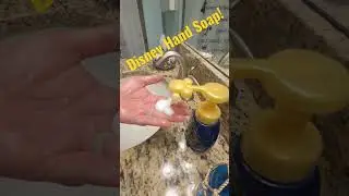 Disney Hand Soap Lyfe
