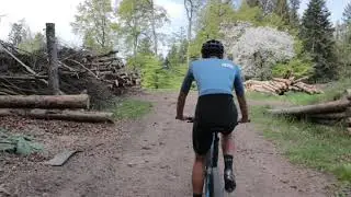 Marcel Guerrini Bambi Trail
