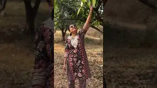🌱🤍 Silver leaves ఎప్పుడైనా chusara plant కి? 😲