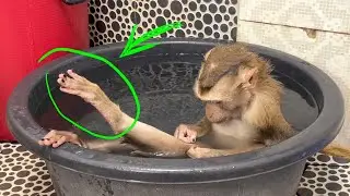Judee Act As A Beautiful Grl, Amusingly Sit Bathing In Big Tub