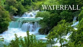 Relaxing Nature Sounds &bull; Lush Waterfall Flowing&bull; Waterfall Sounds for Studying, Working & Sleeping🎧