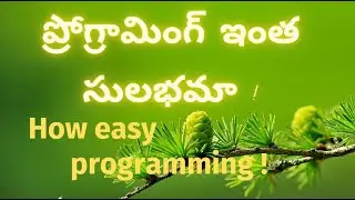 Easy Programming | Telugu lo coding | Flowgorithm | Basic coding Techniques | Best Tips for  coding