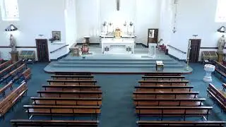 St. Comgall&rsquo;s PS P6 Mass (10am Live) - Tuesday 12th November 2024