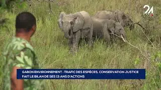 GABON ENVIRONNEMENT   TRAFIC DES ESP&Egrave;CES, CONSERVATION JUSTICE  FAIT LE BILAN DE SES 13 ANS D&rsquo;ACTIO