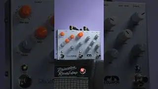 Sequencer. Bit Crusher. Delay. Reverb. #delaypedal #guitar #guitarpedals