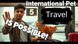 International Pet Travel is Possible