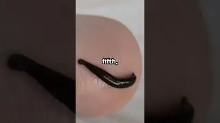 5 Mind Blowing Facts About Leeches! (day 136) #animals #shorts #facts #leeches #wildlife