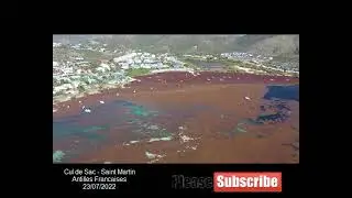 2022 Sargasses - Saint Martin - Antilles Fran&ccedil;aises
