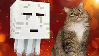 Звук Minecraft Ghast &mdash; это кот?