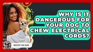 Why Is It Dangerous For Your Dog To Chew Electrical Cords? - Obedient Dog Guide